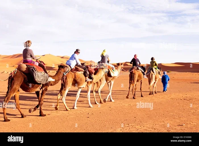 Best 11 Day Tour from Marrakech to Fes