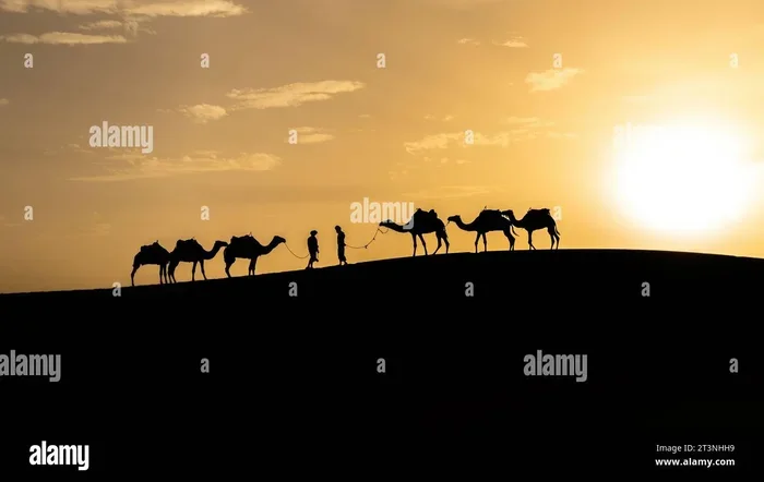 Best 13 Day Tour from Marrakech to Ouarzazate