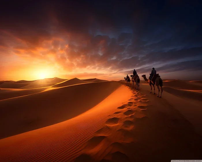Marrakech to Fes 2 Day Tour