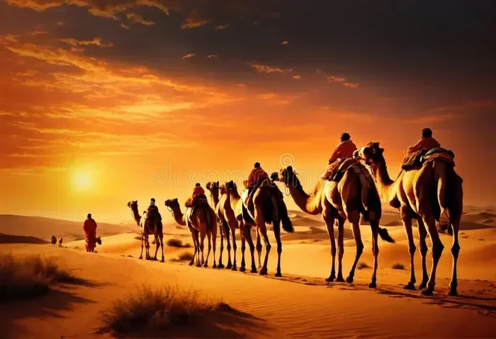 11 Days Tour from Fes to Casablanca