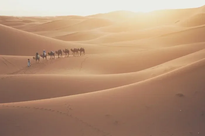 Marrakech to Fes 2 Day Tour