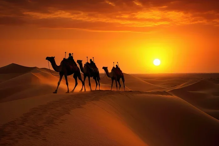 Excursion De 12 Dias Desde Fez a Casablanca