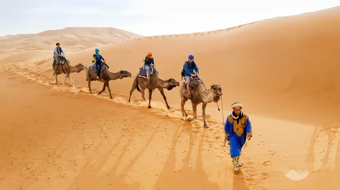 Private 11 Day Tour from Marrakech to Dades Valley