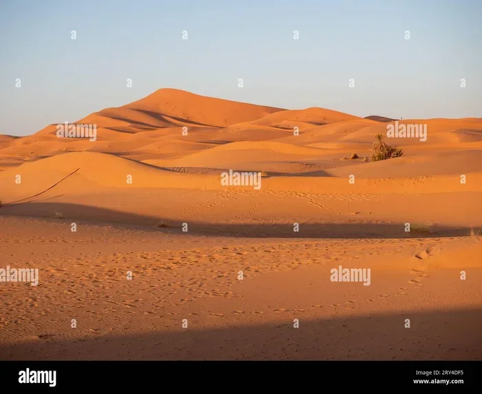 1 Day Tour from Fes to Erg Chebbi