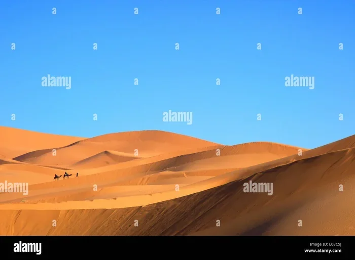 Best 6 Day Tour from Marrakech to Merzouga