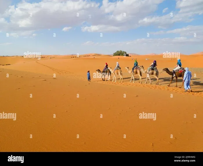 Best 6 Day Tour from Marrakech to Merzouga