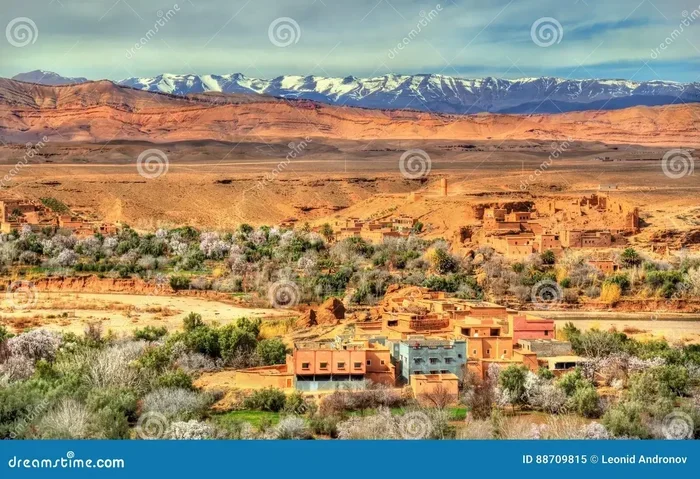 Private 15 Day Tour from Fes to Ifrane