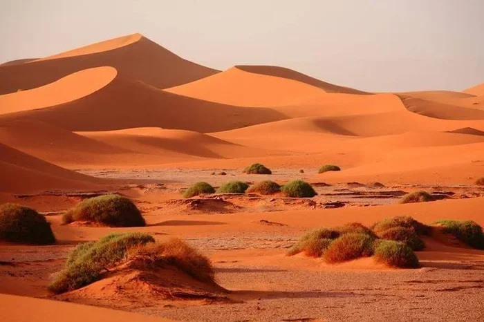 Fes to Ouarzazate Day Trip Cost