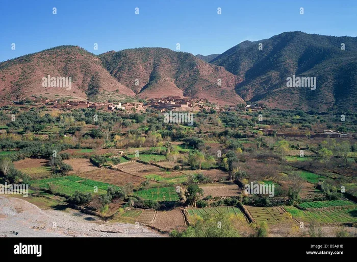Private Day Trip from Casablanca to Ourika Valley