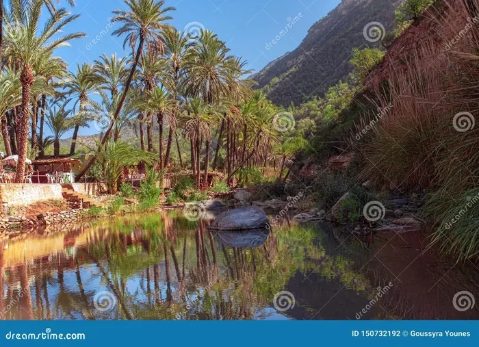 Casablanca to Paradise Valley Day Trip Price