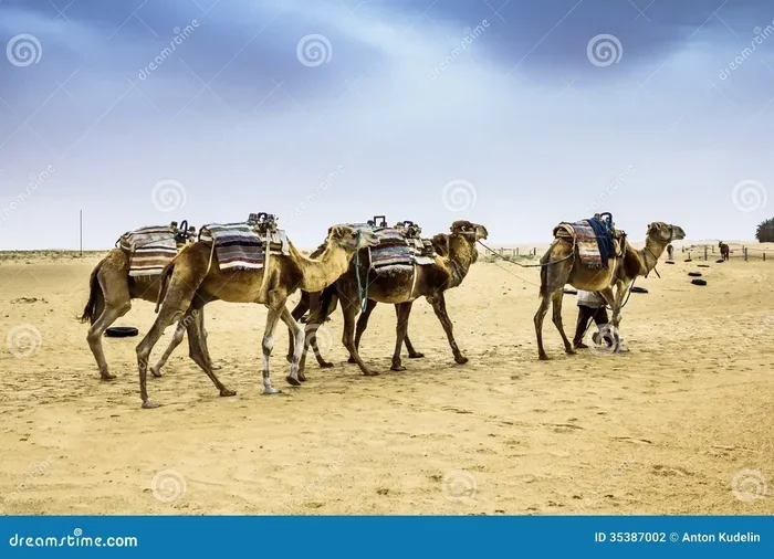 Fes to Sahara Desert 10 Day Tour