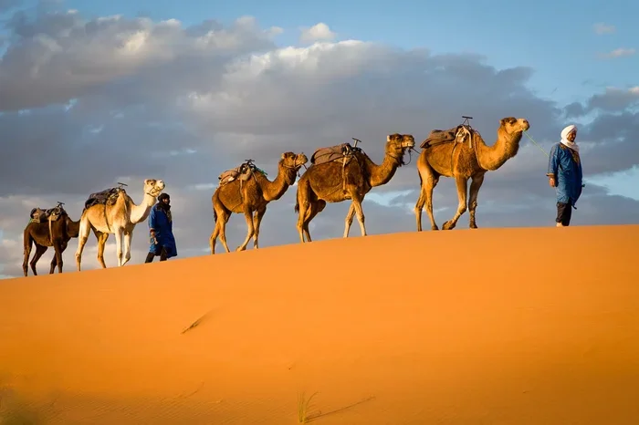 Private 12 Day Tour from Fes to Merzouga