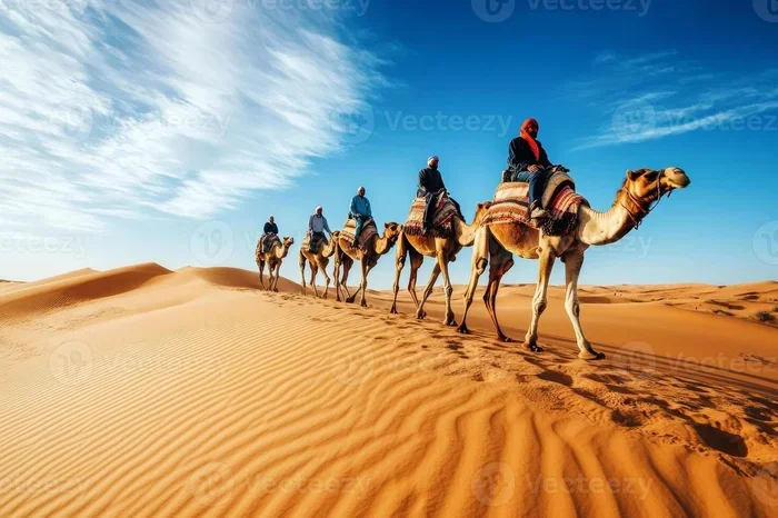 Private 13 Day Tour from Fes to Sahara Desert