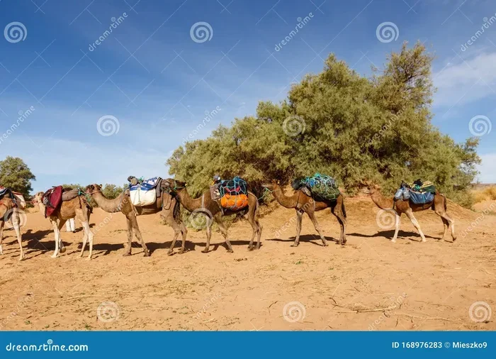 Tour Di 9 Giorni Da Tangeri a Il Deserto Del Sahara