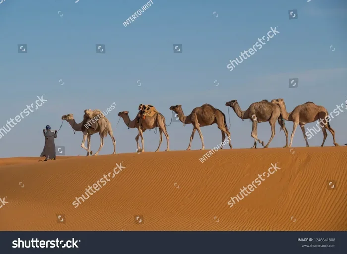 Tour Di 8 Giorni Da Tangeri a Merzouga