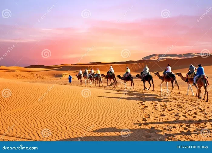Private 12 Day Tour from Fes to Merzouga