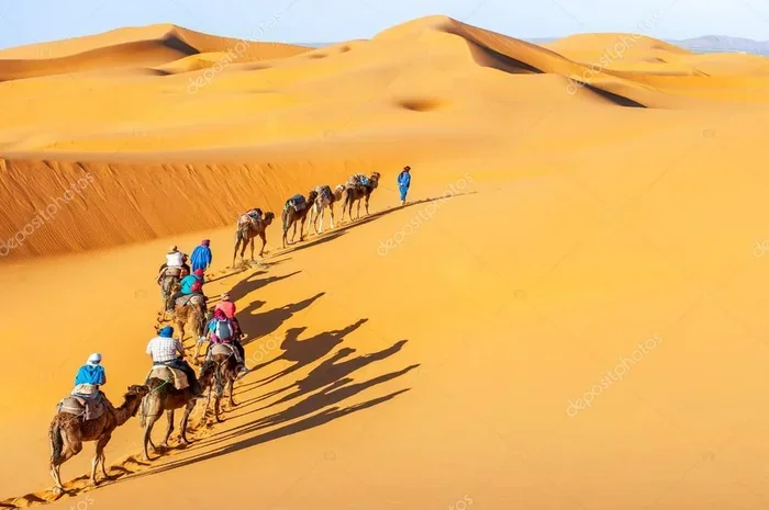 Private 13 Day Tour from Fes to Sahara Desert