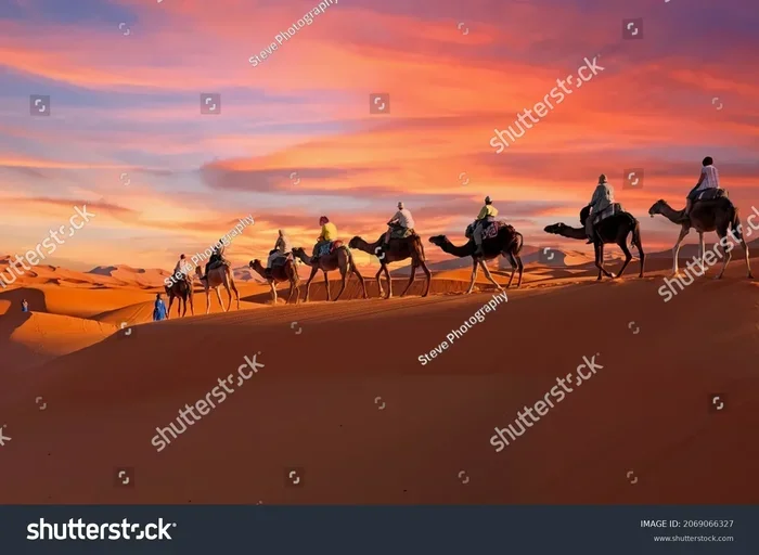 Fes to Sahara Desert 15 Day Tour
