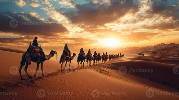 Excursion De 7 Dias Desde Fez a El Desierto Del Sahara