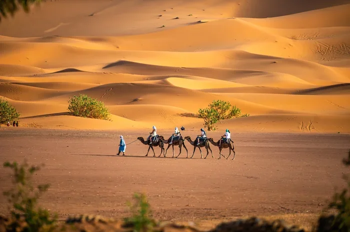 Marrakech to Merzouga 1 Day Tour