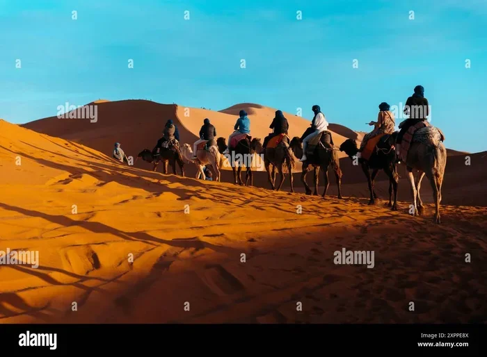 Marrakech to Merzouga 1 Day Tour