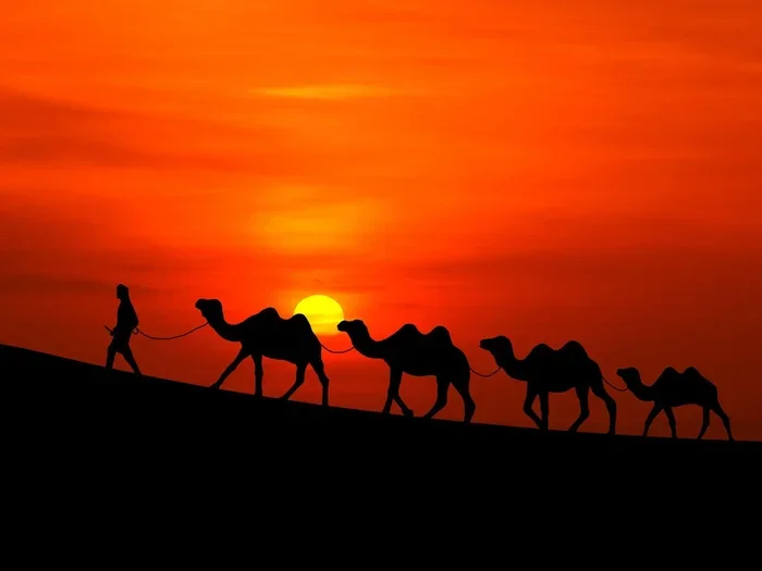 Private 3 Day Tour from Marrakech to Sahara Desert