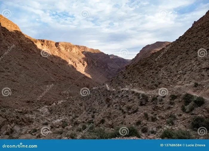 Marrakech to Todra Gorge Tour Reviews