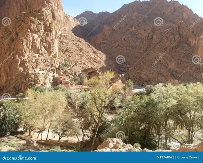 7 Days Tour from Marrakech to Todra Gorge