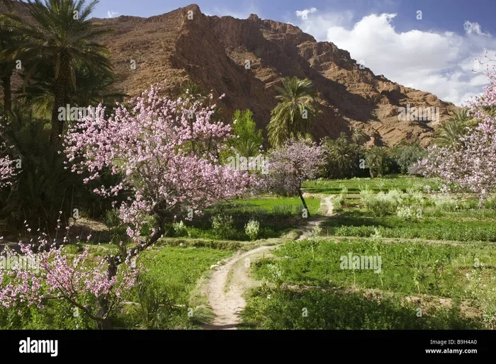 7 Days Tour from Marrakech to Todra Gorge
