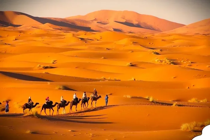 Marrakech to Zagora 9 Day Tour