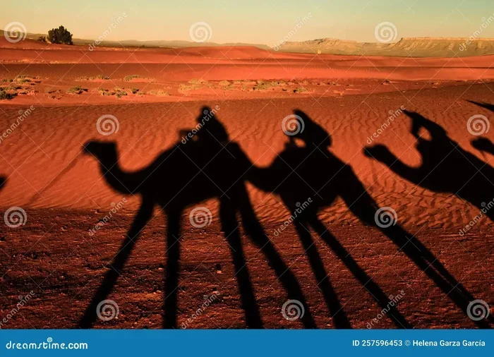 Marrakech to Zagora 9 Day Tour