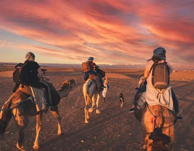Marrakech to Zagora 9 Day Tour