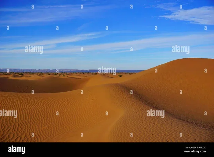 Tour 2 Dias Desde Marrakech a Zagora