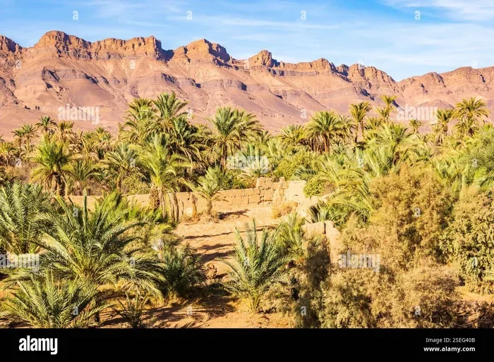 Agadir to Zagora Day Trip