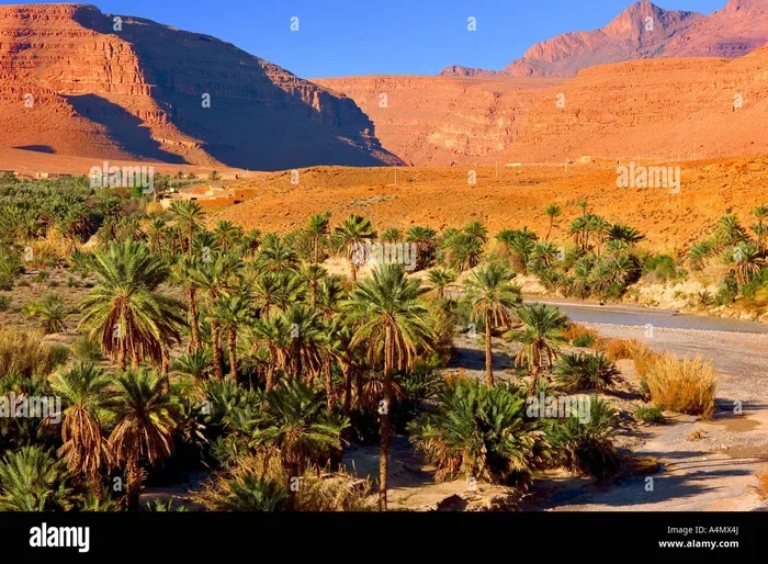 Best 9 Day Tour from Fes to Ziz Valley