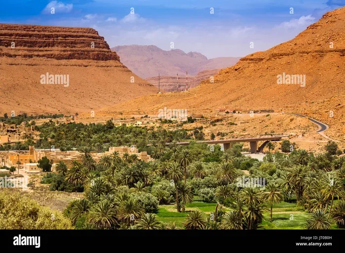 Best 9 Day Tour from Fes to Ziz Valley